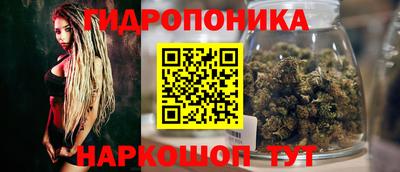 шишки Ангарск