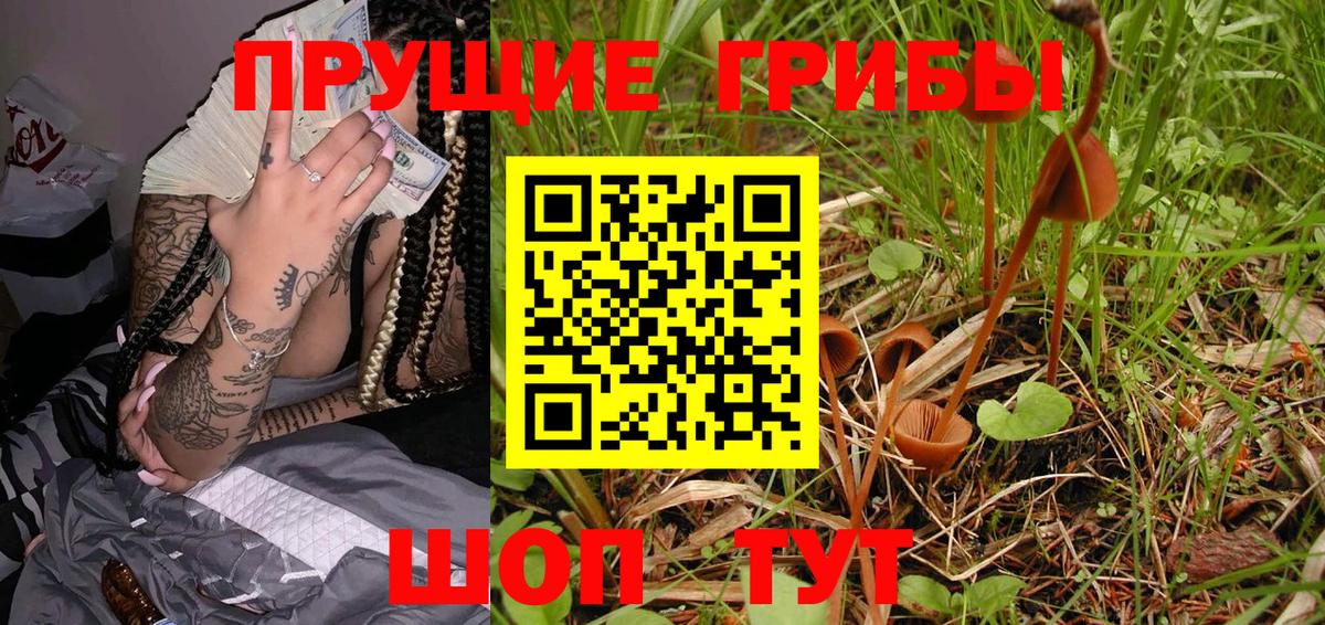 Белая Калитва  Галлюциногенные грибы мицелий  Вход с VPN 
