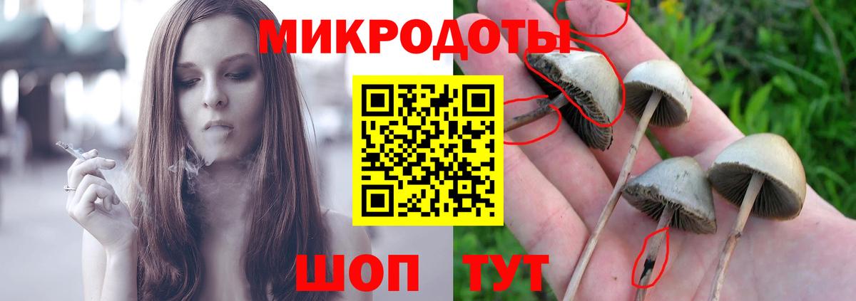 Галлюциногенные грибы мухоморы Белая Калитва